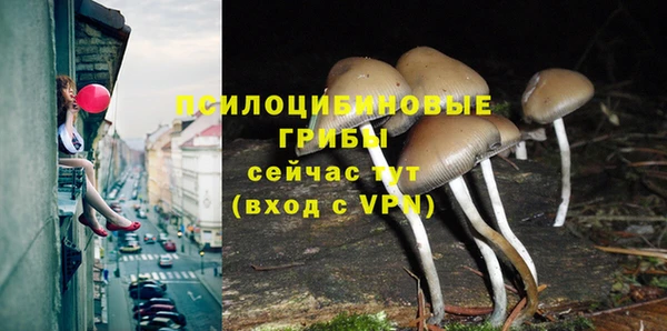 таблы Арсеньев